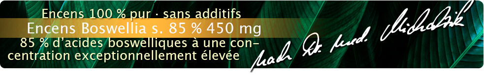 Encens Boswellia serrata 85 % 450 mg