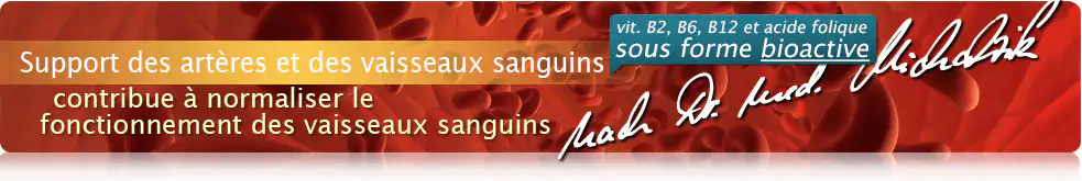 Support des artères et des vaisseaux sanguins