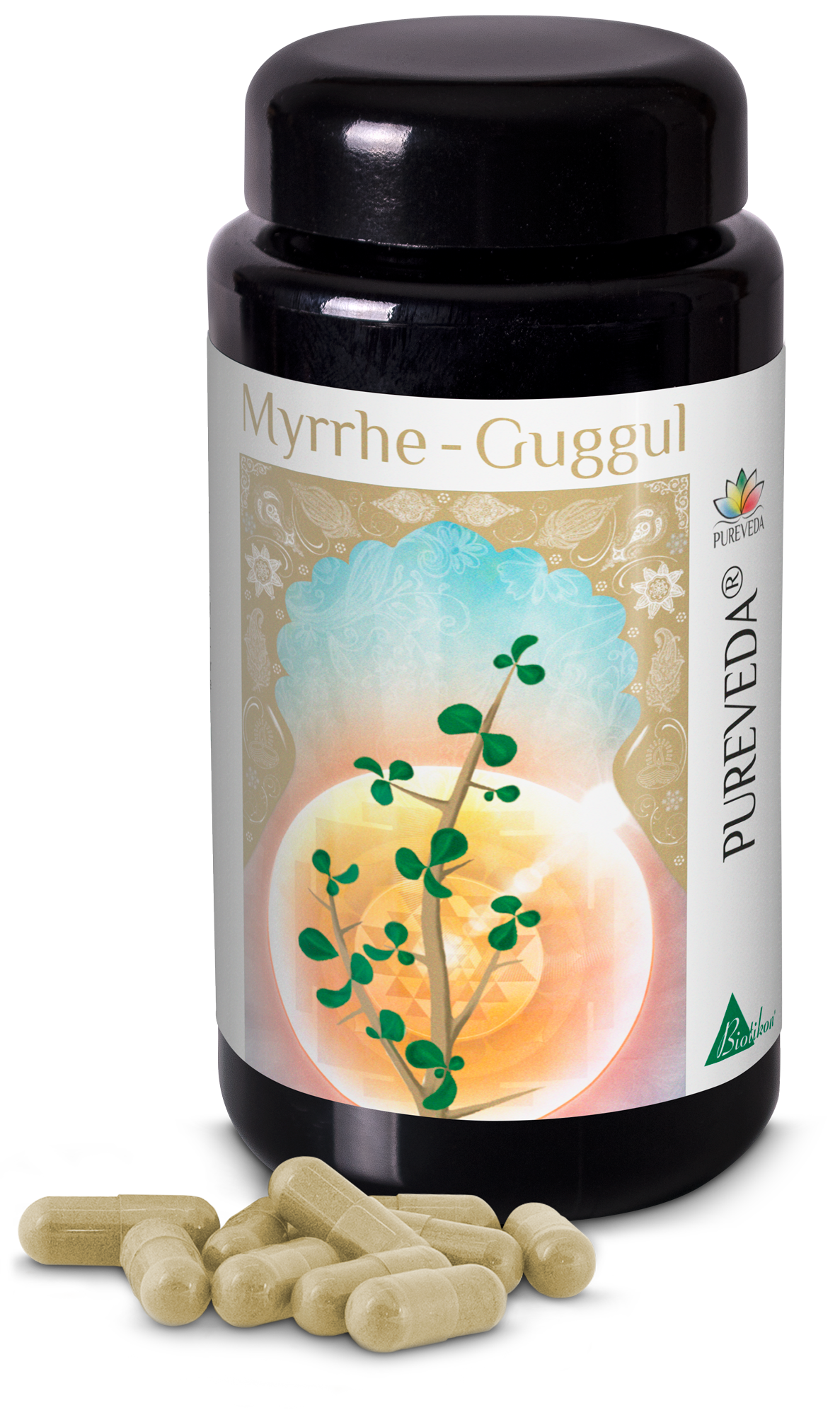 Myrrhe Guggul – Capsules Bouteille de capsules de Myrrhe Guggul, capsules vertes, 100 pièces, sur fond blanc.