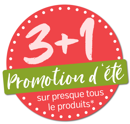 3+1 Sommeraktion