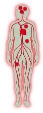 Effet de la vitamine B12