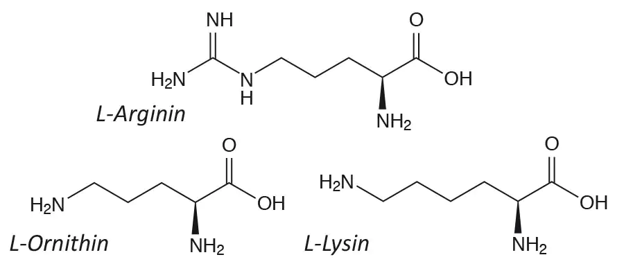 Arginine, Ornithine et Lysine formule structurelle Arginine, Ornithine et Lysine formule structurelle