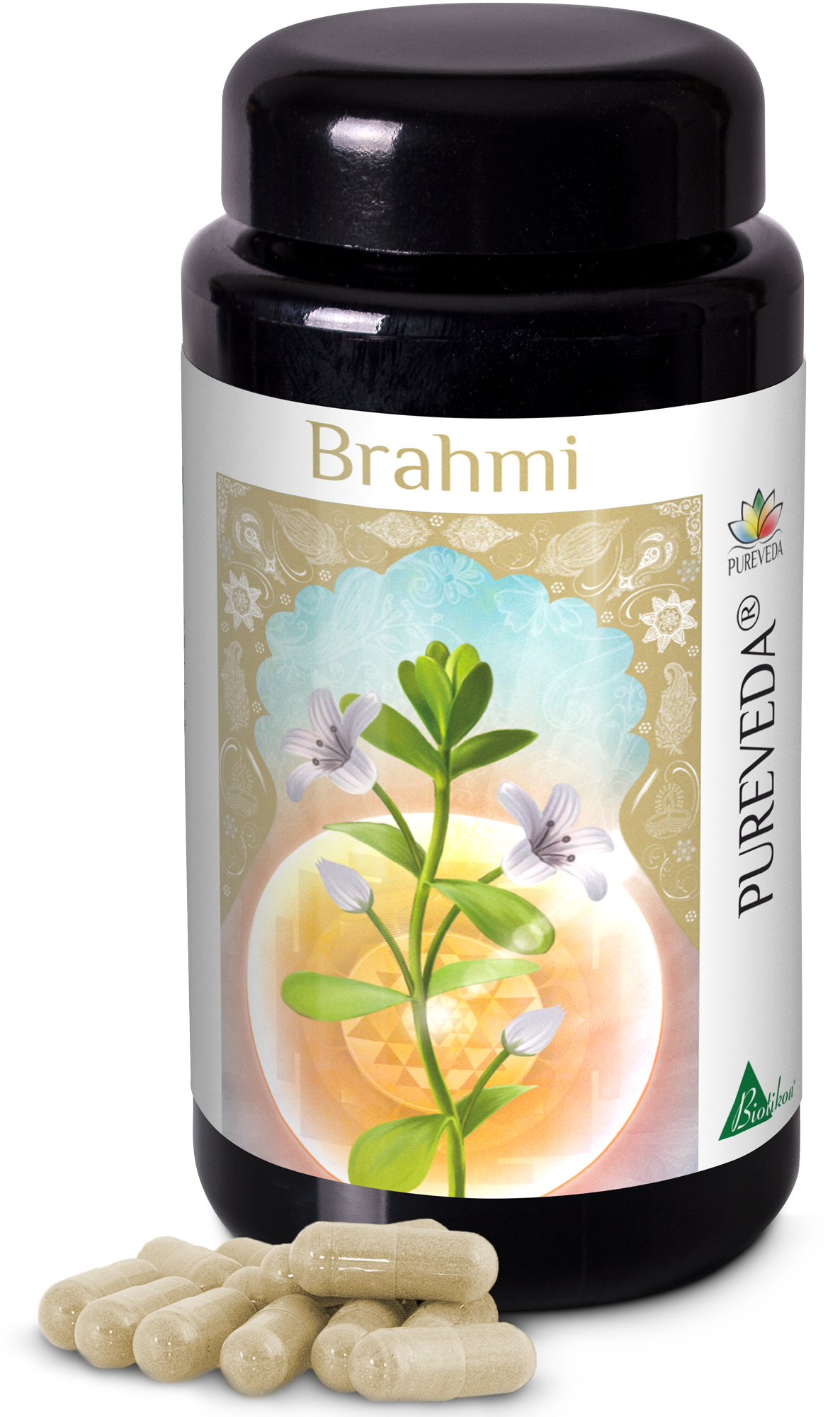 Gélules de Brahmi – 60 pièces Flacon brun transparent contenant des gélules de Brahmi de couleur naturelle, entouré de plusieurs gélules.