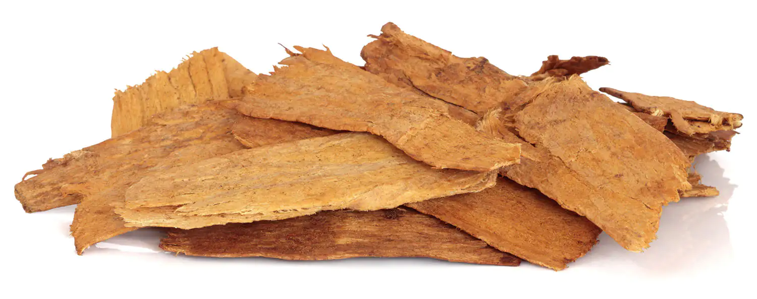 Astragaloside IV Racine d'Astragalus membranaceus Astragaloside IV Racine d'Astragalus membranaceus