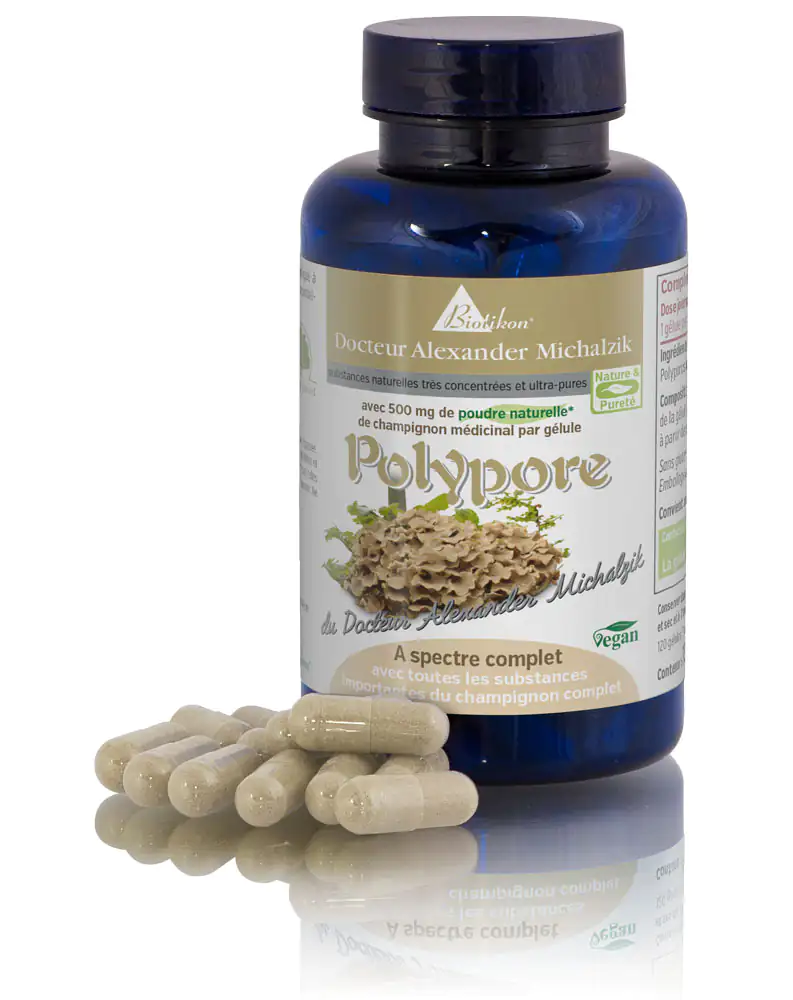 Polypore 500 mg – Capsules Bouteille de capsules de Polypore, 500 mg, capsules beiges sur fond blanc.