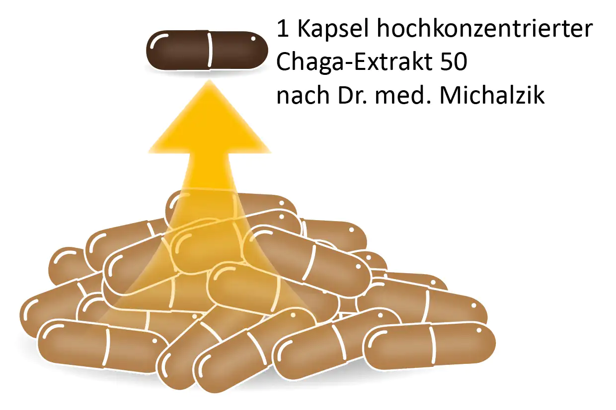 Extrait de Chaga 50 – Capsules Une capsule d'extrait de Chaga hautement concentré parmi une pile de capsules brunes, montrant sa structure et sa couleur.