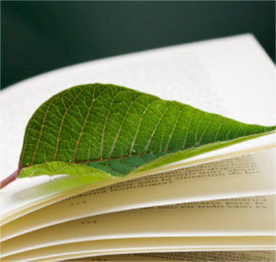 Feuille Verte sur Livre Ouvert Gros plan d'une feuille verte reposant sur les pages d'un livre ouvert, couleurs vives, affichage naturel.