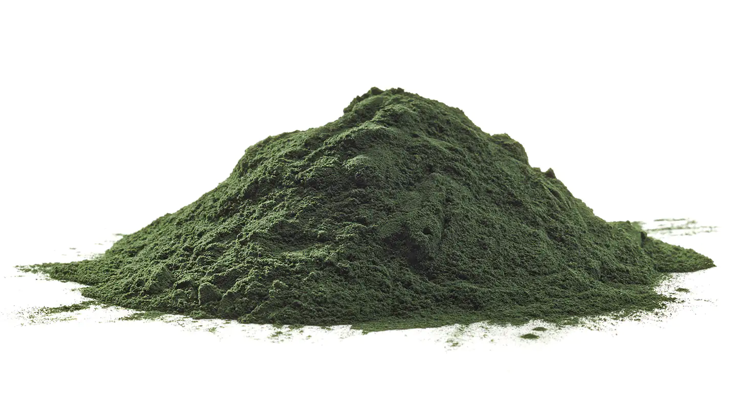 Poudre de chlorella vulgaris Poudre de chlorella vulgaris