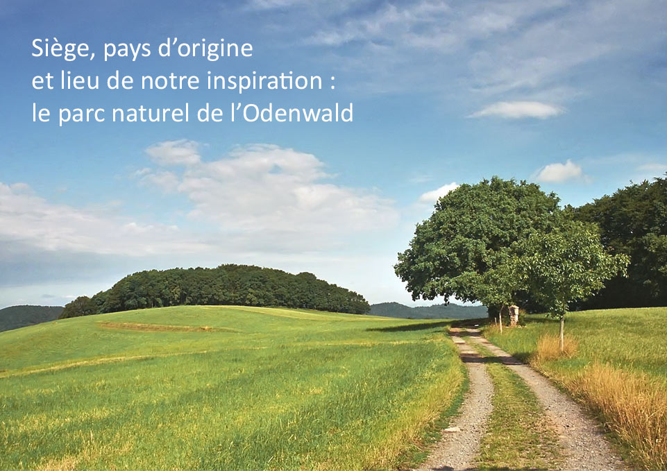 Parc naturel d'Odenwald – Capture paysagère Vastes verts prairies dans l'Odenwald, chemin à travers la nature, ciel bleu.
