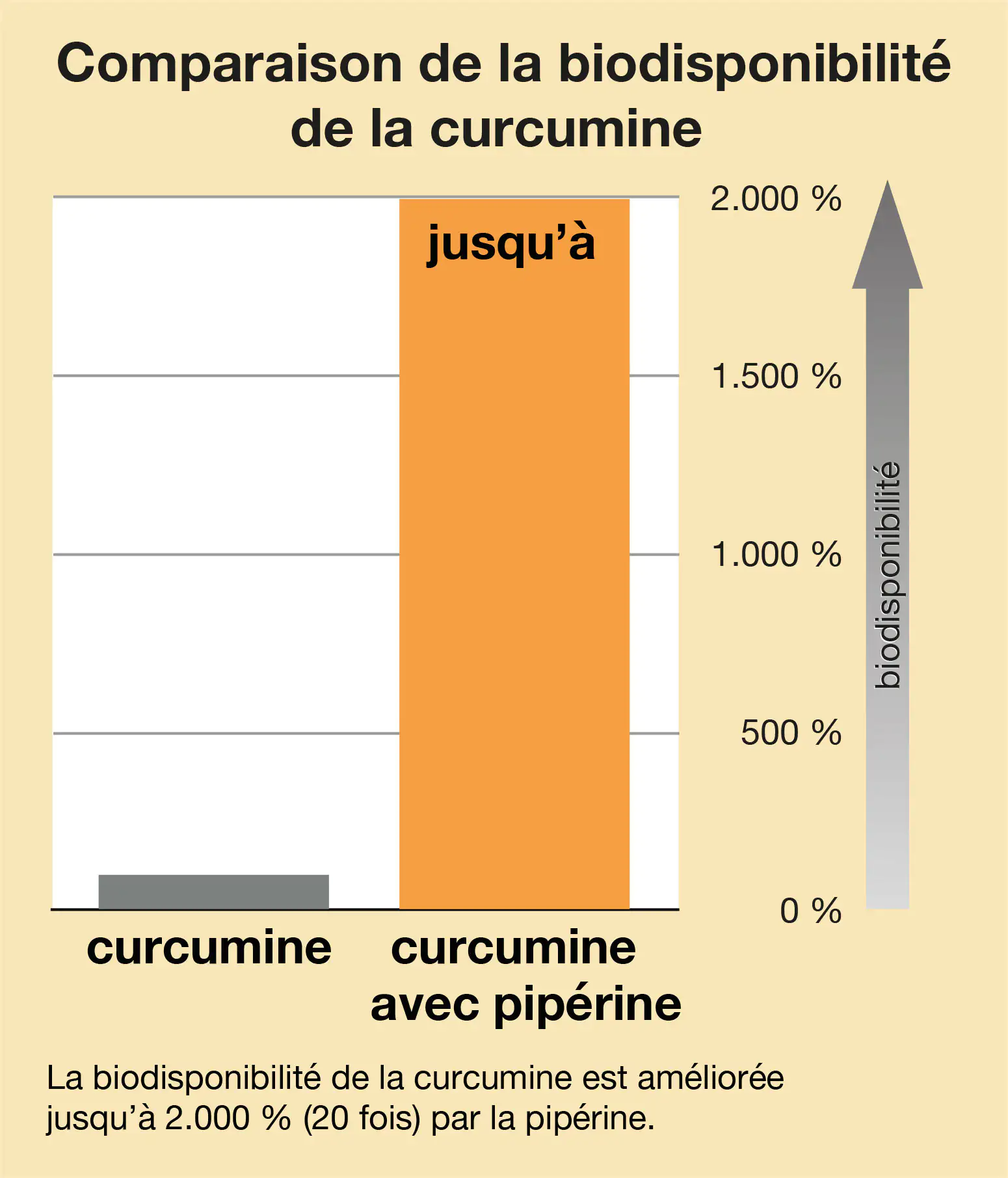 Curcumine avec Pipérine - Comparer la Biodisponibilité Graphique comparant la biodisponibilité de la curcumine et de la curcumine avec pipérine sur un fond clair.