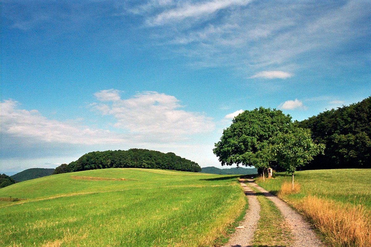 L’Odenwald L’Odenwald