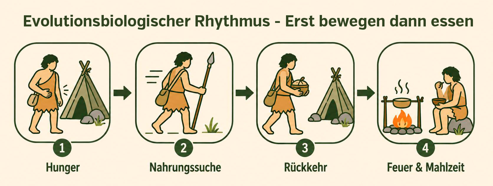 Recomposition corporelle - rythme évolutif biologique