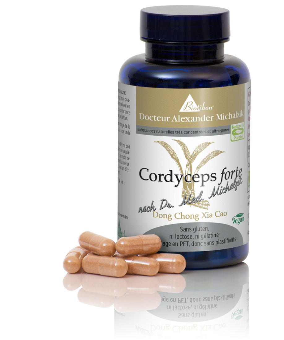 Cordyceps Forte – 90 Capsules Gélules dans un récipient en verre bleu, 90 pièces, gélules beiges, véganes, sous différents angles.