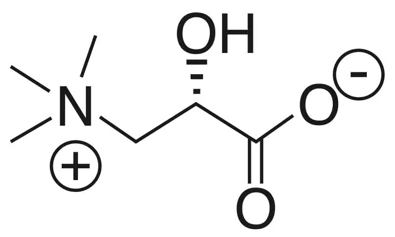 Formule structurelle de la L-carnitine Formule structurelle de la L-carnitine