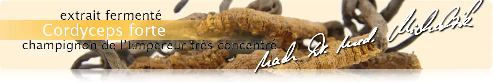 Cordyceps