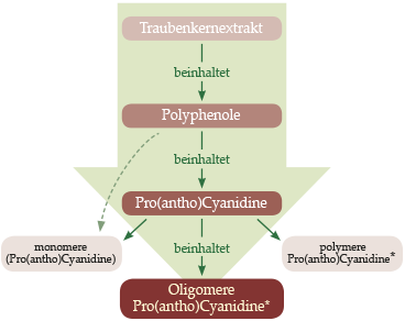 Processus de concentration OPC