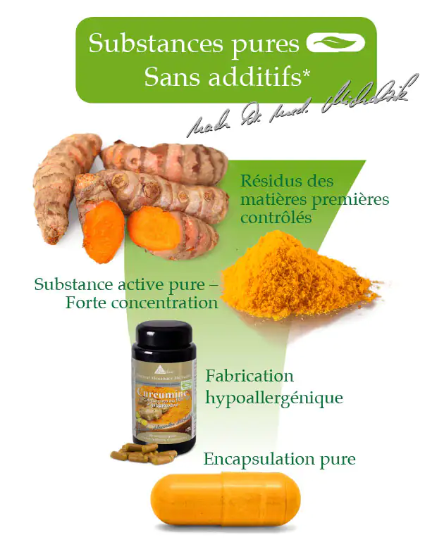 Curcumine forte de curcuma bio + gingembre