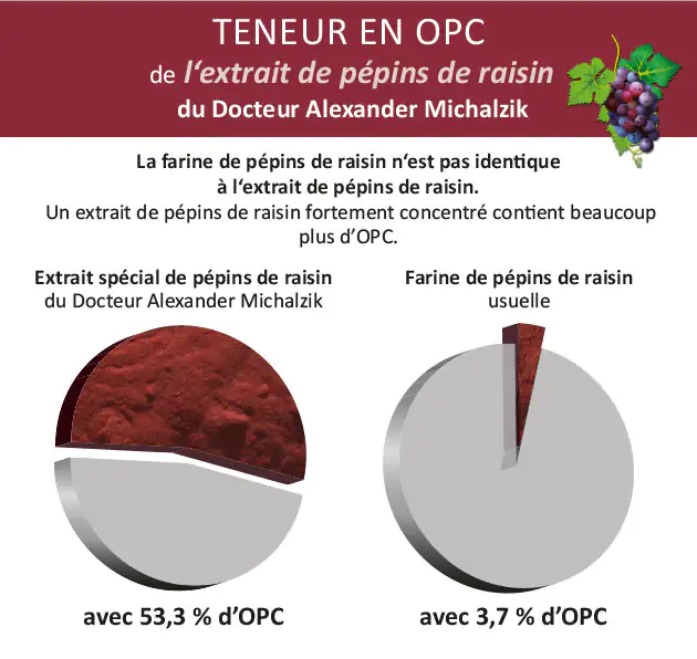 Extrait de pépins de raisin 53,3 % OPC – Poudre Données comparatives entre extrait de pépins de raisin et farine de raisin ordinaire, affichage graphique de la concentration d'OPC.