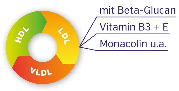 metbolismus de cholesterol