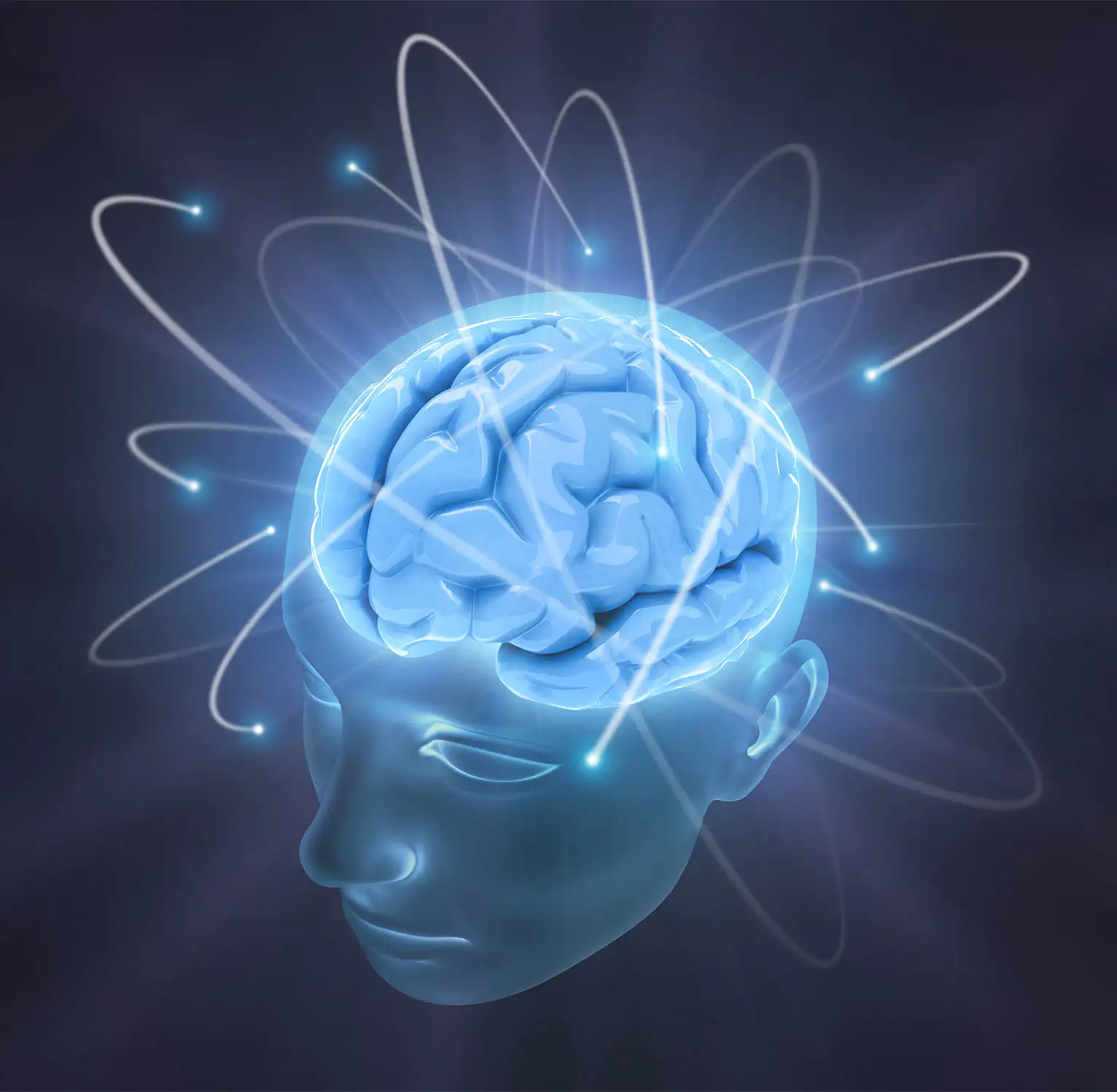 Graphique de la tête et du cerveau Graphique de la tête et du cerveau
