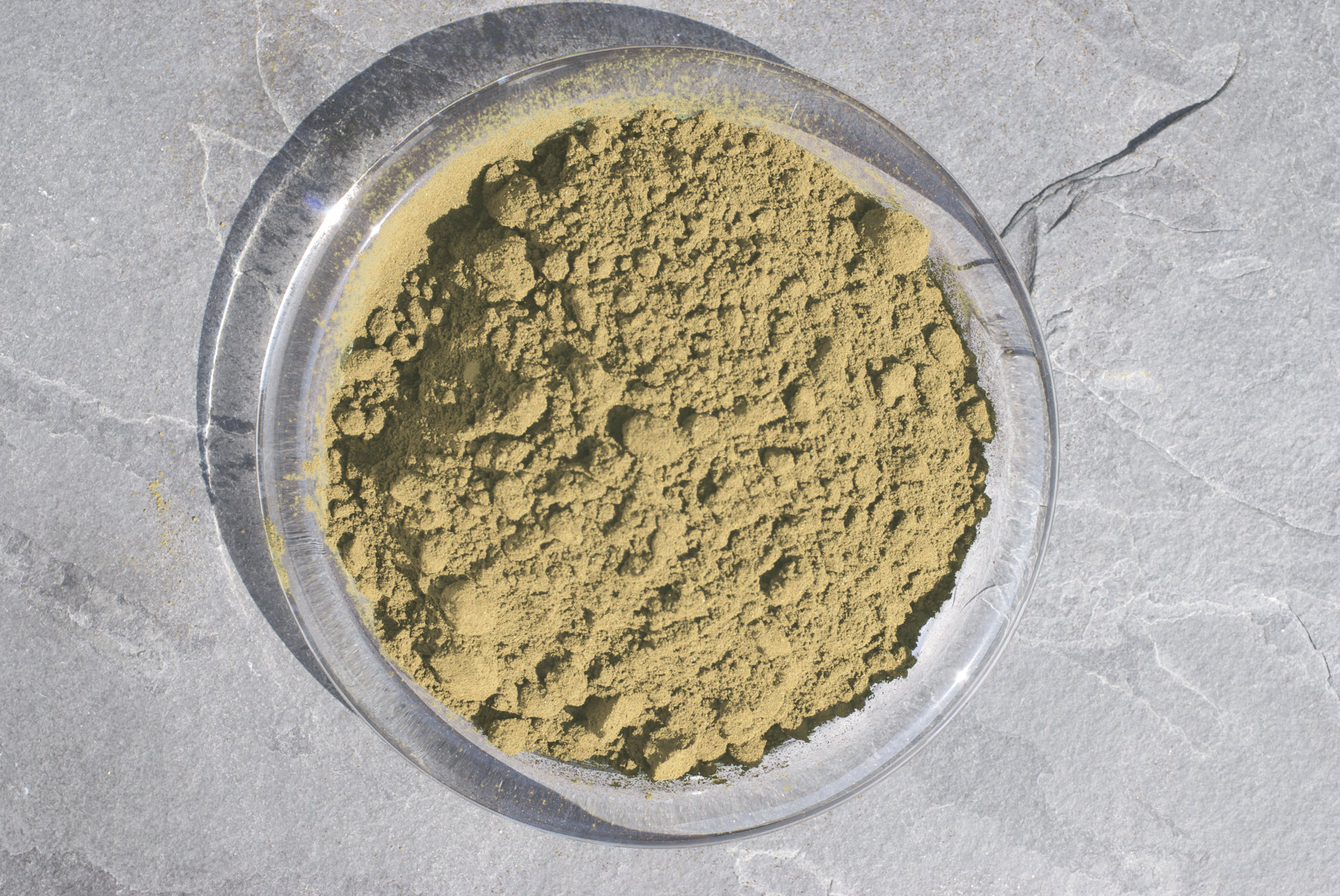 Poudre d'herbes – 100 g Poudre d'herbes fine dans un bol transparent, brun-verdâtre, vue de dessus.