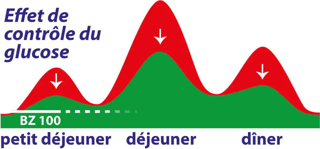 Graphique de l'effet de contrôle du glucose dans le sang Graphique de l'effet de contrôle du glucose dans le sang