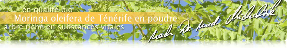 Poudre de moringa de Ténériffe