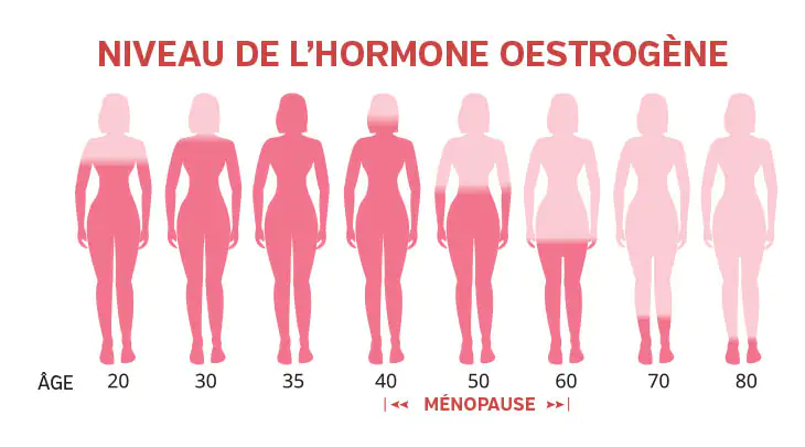 Niveaux d'œstrogènes au fil du temps - Graphique Graphique avec des silhouettes de femmes âgées de 20 à 80 ans montrant la diminution des niveaux d'œstrogènes.