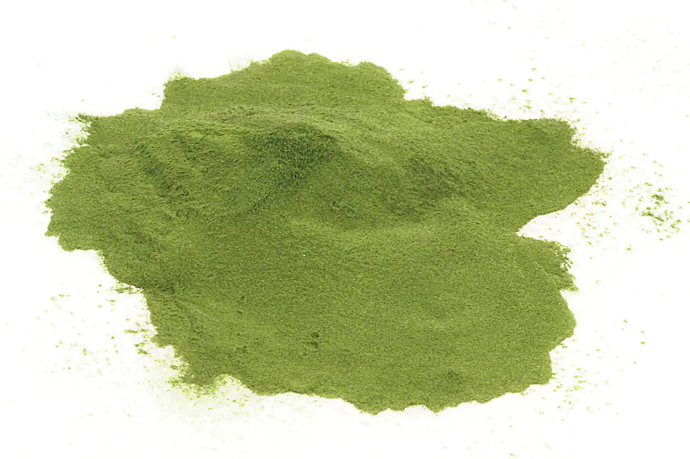 Moringa oleifera qualité des aliments crus Moringa oleifera qualité des aliments crus