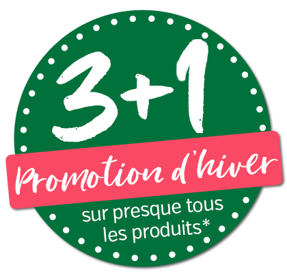 3+1 promotion d-hiver 2025
