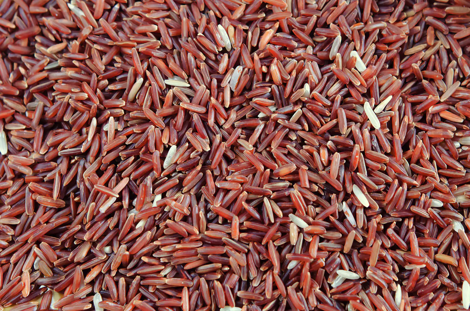 riz rouge riz rouge